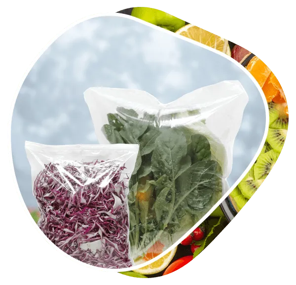 Home, Nelipak Food Packaging